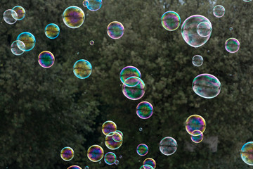 Soap bubbles on green background