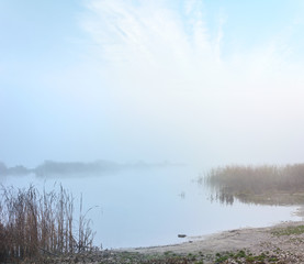 Mysterious coast in the fog