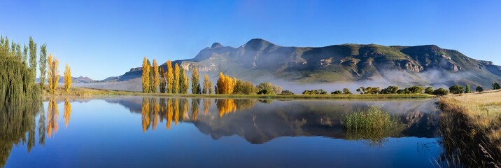 Autumn colour poplar trees lining the edge of a lake and reflection in the water