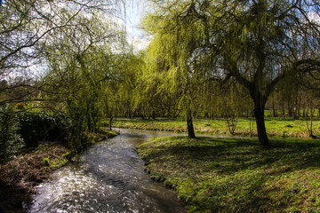 Un très beau paysage à utiliser sans modération