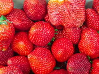 Fresh strawberries in a box