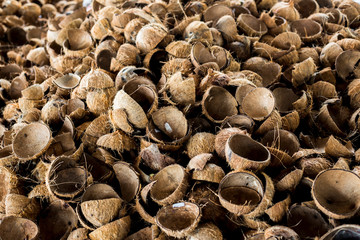 many coconut shells, zenith view