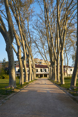 Garden park in Tomar at sunrise, in Portugal