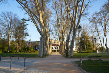 Garden park in Tomar at sunrise, in Portugal