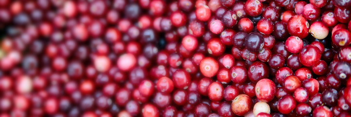 Frozen berries in grocery store shot close-up, blurred background.