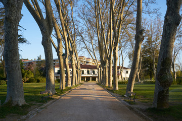 Garden park in Tomar at sunrise, in Portugal