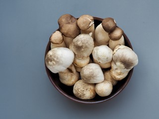 Straw mushrooms in a bowl for cooking