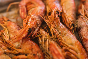 Detail of a plate of cooked prawns