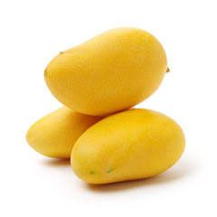 Mango on a white background