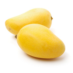 Mango on a white background