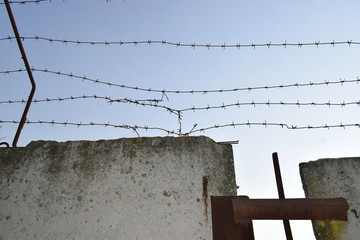 Barbed wire on a concrete fence against a blue sky.