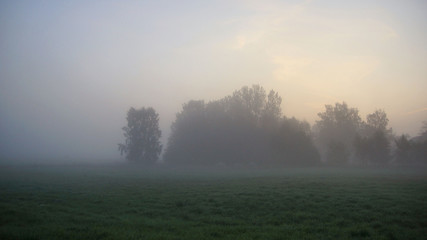 Fototapeta na wymiar Waiting for the sunrise in the autumn fog