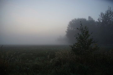 Fototapeta na wymiar Waiting for the sunrise in the fog