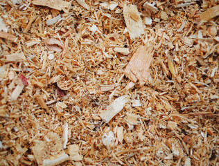 Sawdust texture close up background