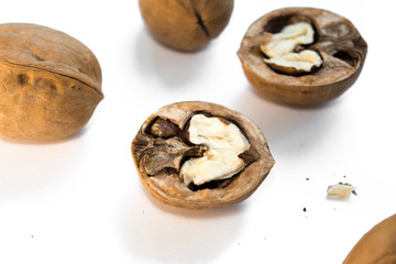 walnuts isolate on a white background in a shell half a whole brain owl