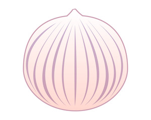 野菜　タマネギ　