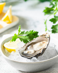 Oysters in a gray bowl with ice on a light gray table. Healthy seafood