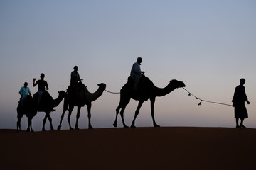 Camel trip in Sahara dunes, Morocco.
