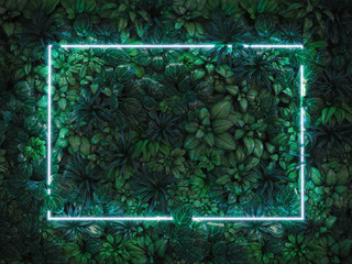Green leaves with neon light frame