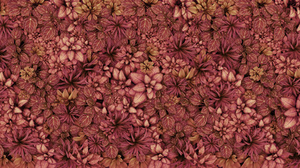 Leaves, plant, nature backdrop	concept