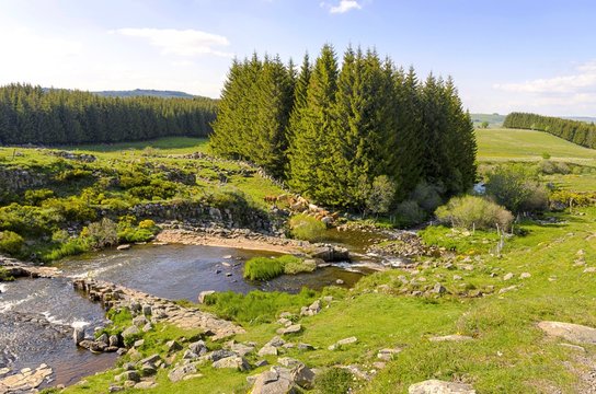 Rivi&egrave;re dans l'Aubrac en Loz&egrave;re 