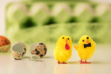 Concept of independent life. Two chickens hatched and went for a walk. In the background, a broken shell, nest and egg box