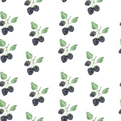 Watercolor illustration pattern of blackberries on a twig on a white background