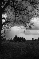 sunbeams through the clouds in dark landscape with tree on foreground in black and white