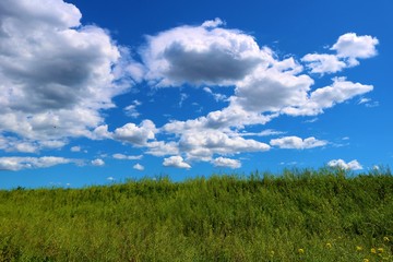 Obraz premium 渡良瀬の春 爽やか 風景 杤木