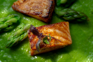 grilled salmon fillet and asparagus sauce