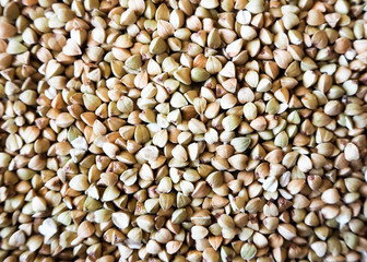 Raw green buckwheat . Triangular shaped seeds . Organic food