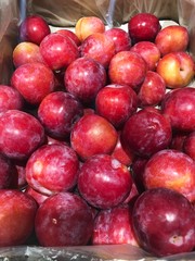 Fototapeta na wymiar Delicious fresh red plums on the market