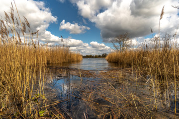 a wondeful lake in saxony, germany