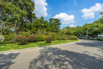 Asphalt road and green trees in the blue sky