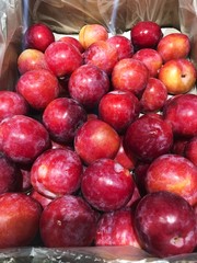 Delicious fresh red plums on the market