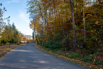 Fototapeta premium Sensory Gardens in Muszyna