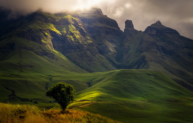 Sterkhorn Mountain in Monks Cowl in the Drakensberg South Africa