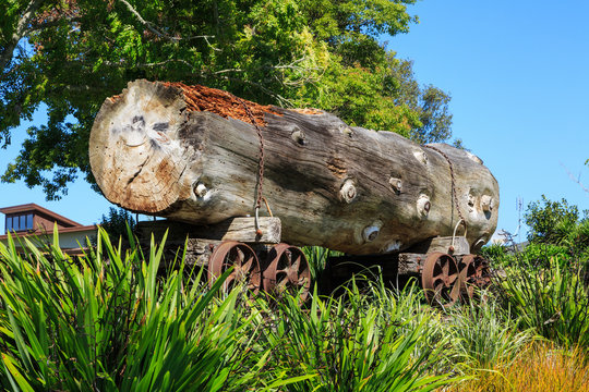 A massive log on an old logging trolley in a Katikati, New Zealand park. Native kauri trees like this were felled in the early twentieth century