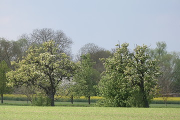 Landschaft im Fr&uuml;hling