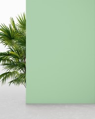 Light green colored wall with plant, background for product presentation