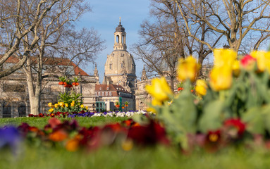 Spring vibes in Dresden, Frauenkirche,  saxony, germany