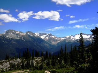 permanent snow and coniferous forests in Whistler, Canada