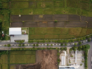 Lombok Rice field