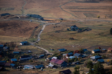 Obraz premium Landscape view of lower Omala in Tusheti with a herd of sheep walking on the right.