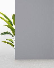 Pewter grey colored wall with plant, background for product presentation
