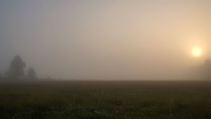 Gradient sunrise in the autumn fog