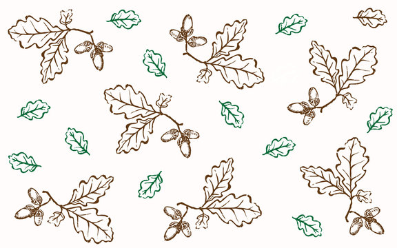 Brown And Green Vector Acorn Pattern