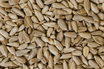 Close-up of seeds