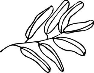 Cute hand drawn single leaf of realistic olive tree plant. Traditional hand drawn spring flowers in ink style.