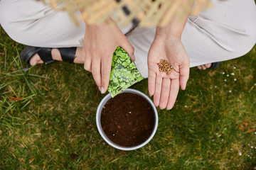 woman sows herbs in a pot. the model is sitting on the grass and has seeds in her hand. she has a straw hat on his head.